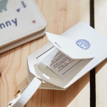 Personalised Dinosaur Baby Passport Holder & Luggage Tag Set