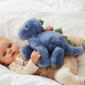Personalised Blue and Green Dinosaur Soft Toy