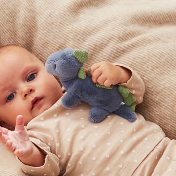 Mini Dinosaur Soft Toy