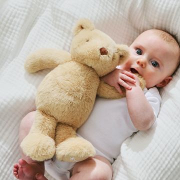 Personalised Classic Teddy Bear Plush Toy