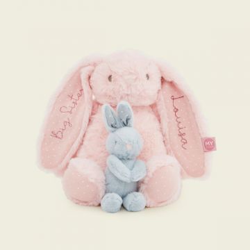 Personalised Big Sister Bunny Set