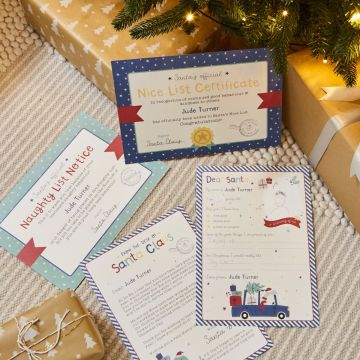 Personalised Dinosaur Stickers & Letter to Santa Pack