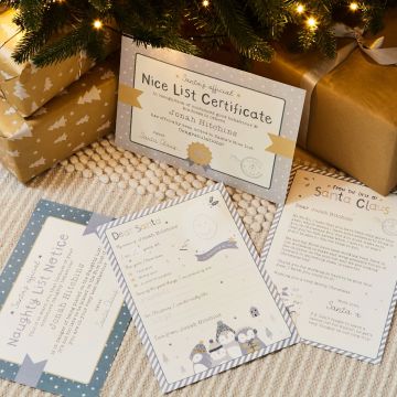 Personalised Penguin Stickers & Letter to Santa Pack