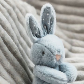 Mini Blue Bunny Soft Toy