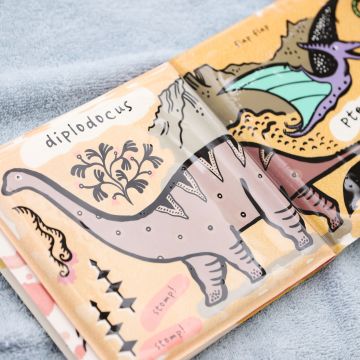 Who Loves Dinosaurs? Colour Changing Bath Book