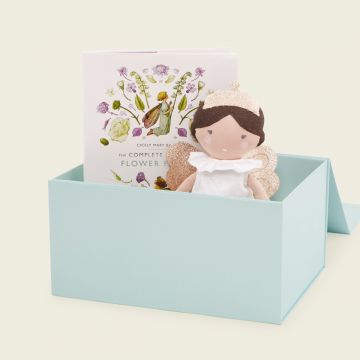 Personalised Fairy Read & Cuddle Set