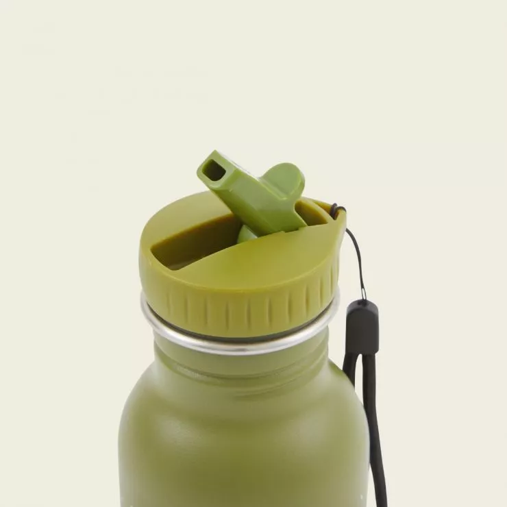 Personalised Trixie Green Dinosaur 350ml Water Bottle