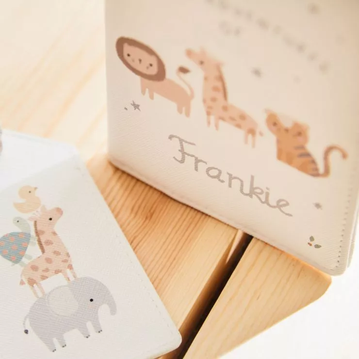 Personalised Safari Baby Passport Holder & Luggage Tag Set