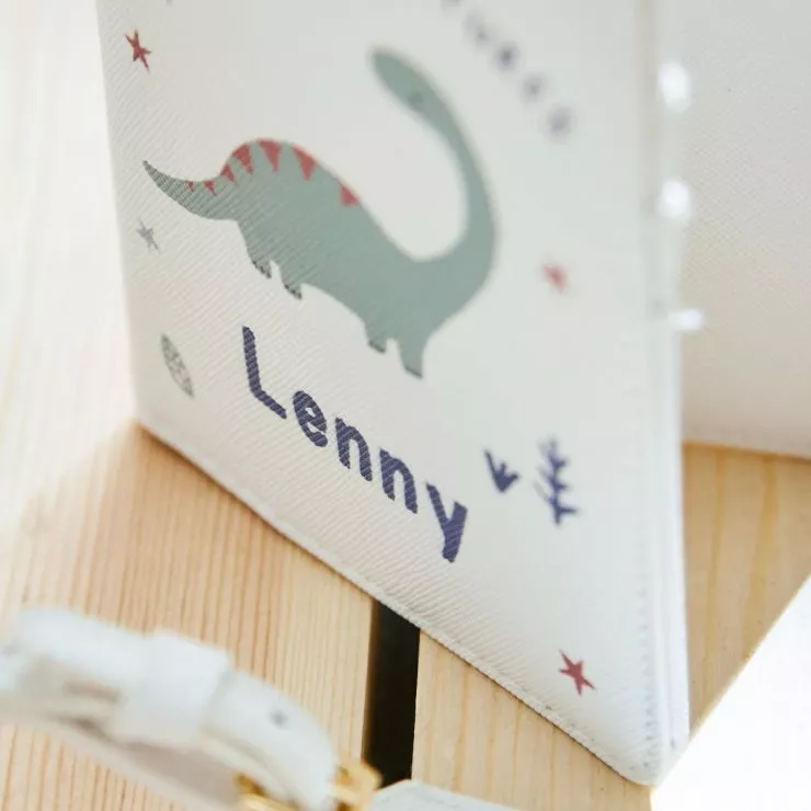 Personalised Dinosaur Baby Passport Holder & Luggage Tag Set