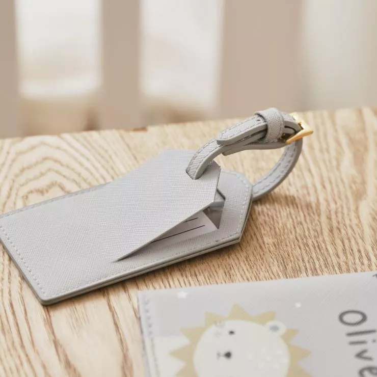 Personalised Lion Baby Passport Holder & Luggage Tag Set
