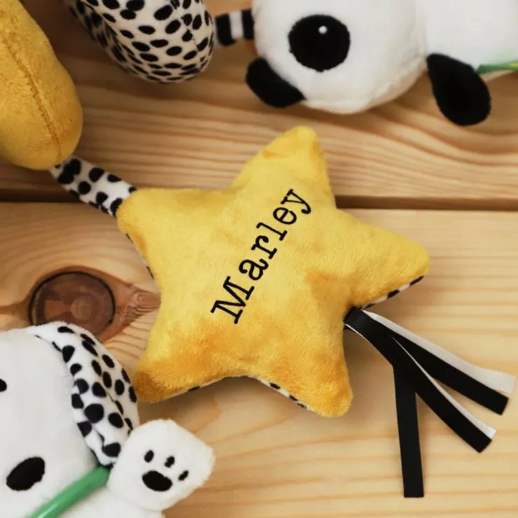 Personalised Mini Mono Spiral Activity Toy
