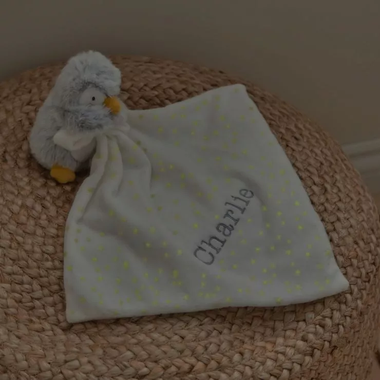 Personalised Penguin Comforter