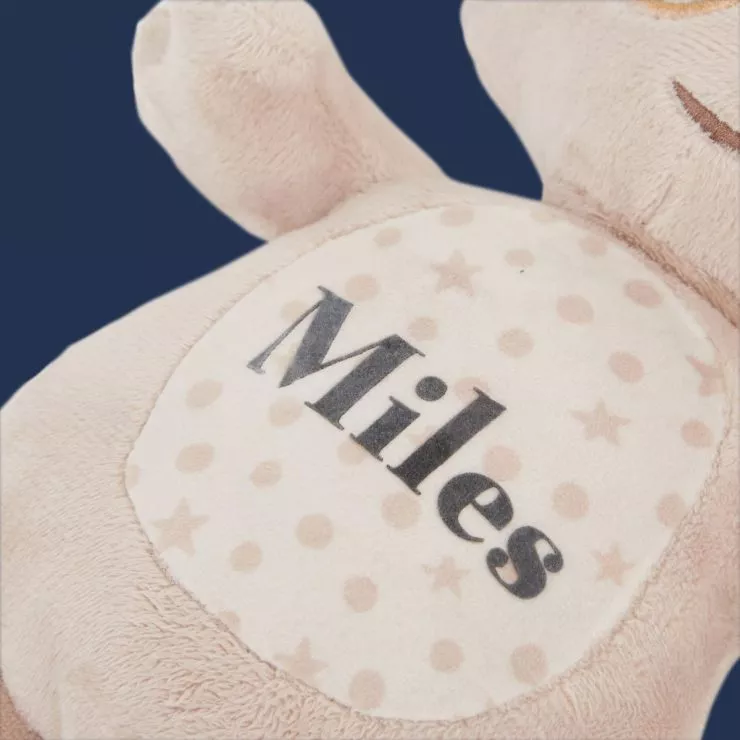 Personalised Makka Pakka Talking Toy