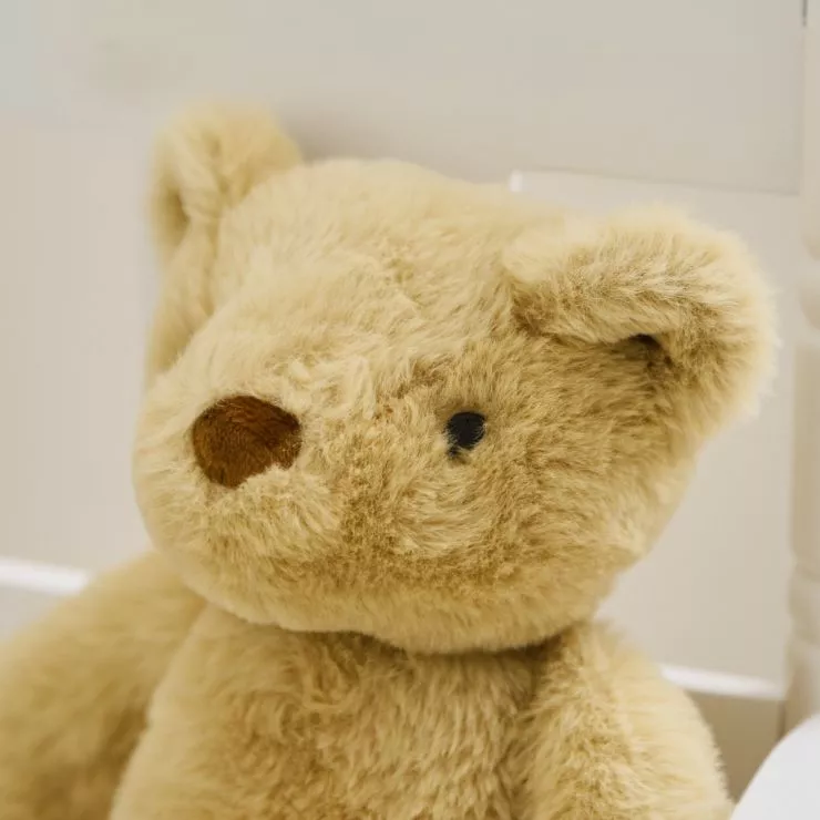 Personalised Classic Teddy Bear Plush Toy
