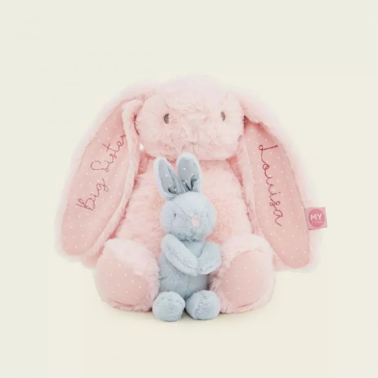 Personalised Big Sister Bunny Set