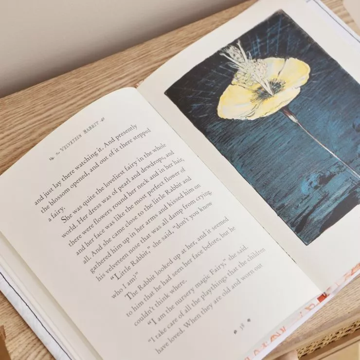 The Velveteen Rabbit Book