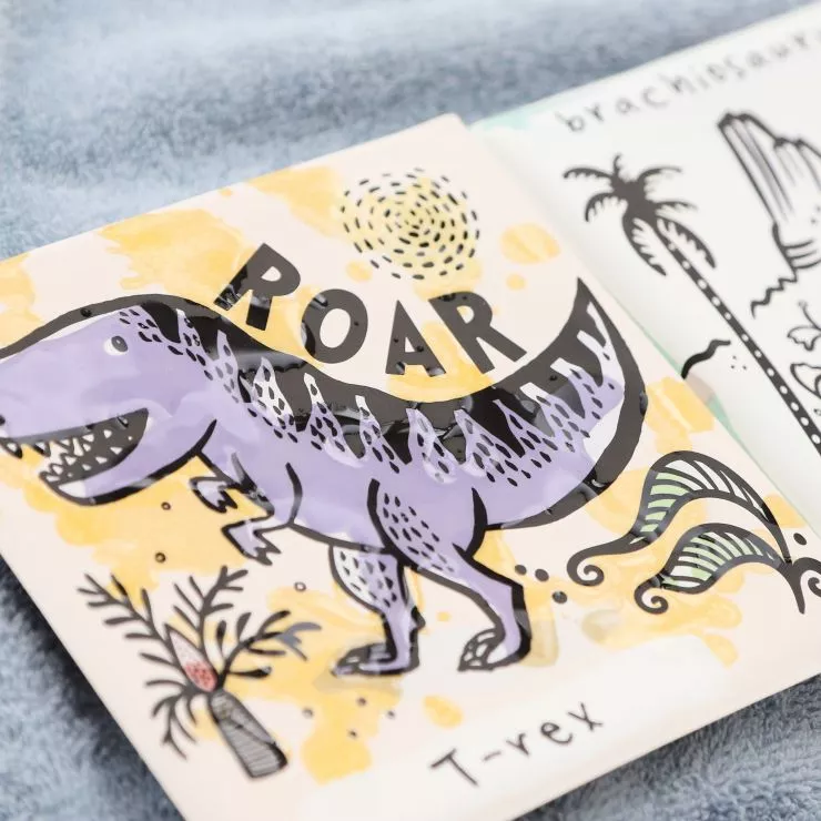 Who Loves Dinosaurs? Colour Changing Bath Book