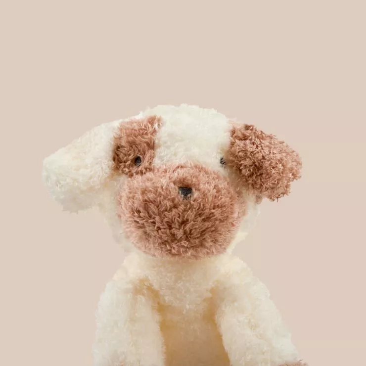 Personalised Puppy Plush Toy