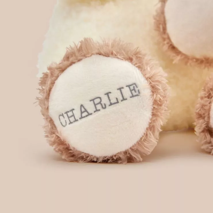 Personalised Puppy Plush Toy