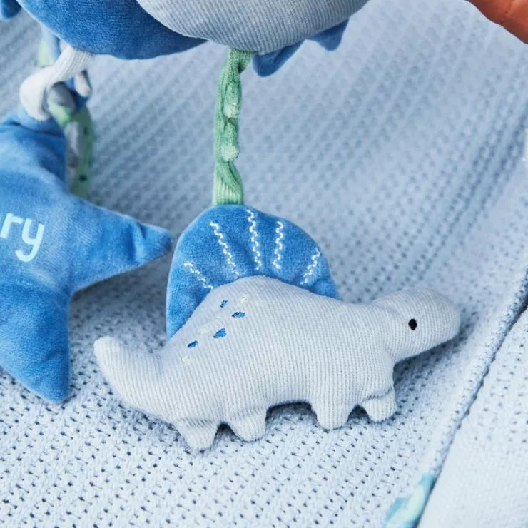 Personalised Dinosaur Spiral Toy