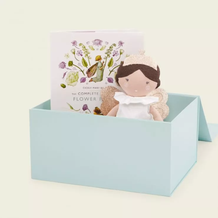 Personalised Fairy Read & Cuddle Set